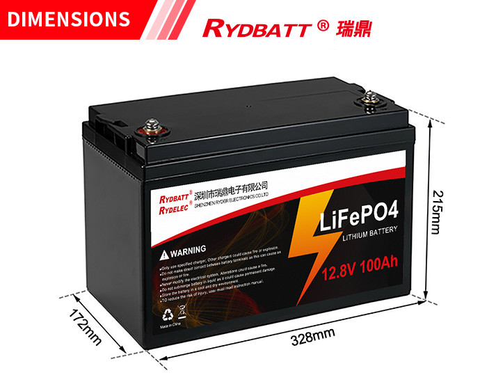 12V 100Ah LiFePO4 Lithium Battery Rechargeable 2000cycles Built In BMS