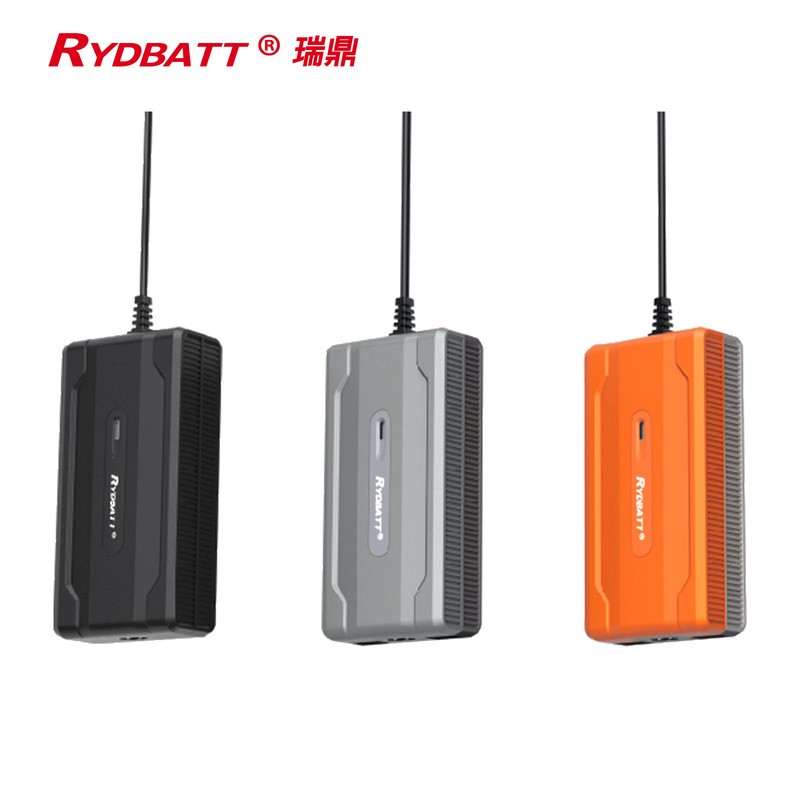 Ładowarka akumulatorów litowo-jonowych RYDBATT 120 W typu wtykowego do Ebike